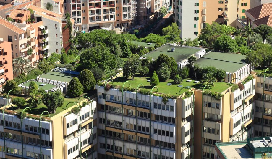 Biodiversity net gain Green roof to enhance biodiversity net gain