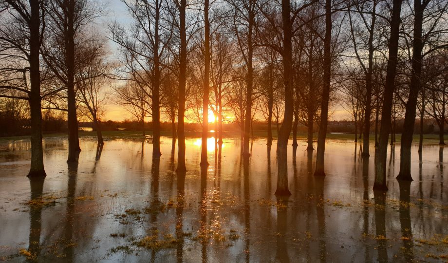 British flood. British flood.