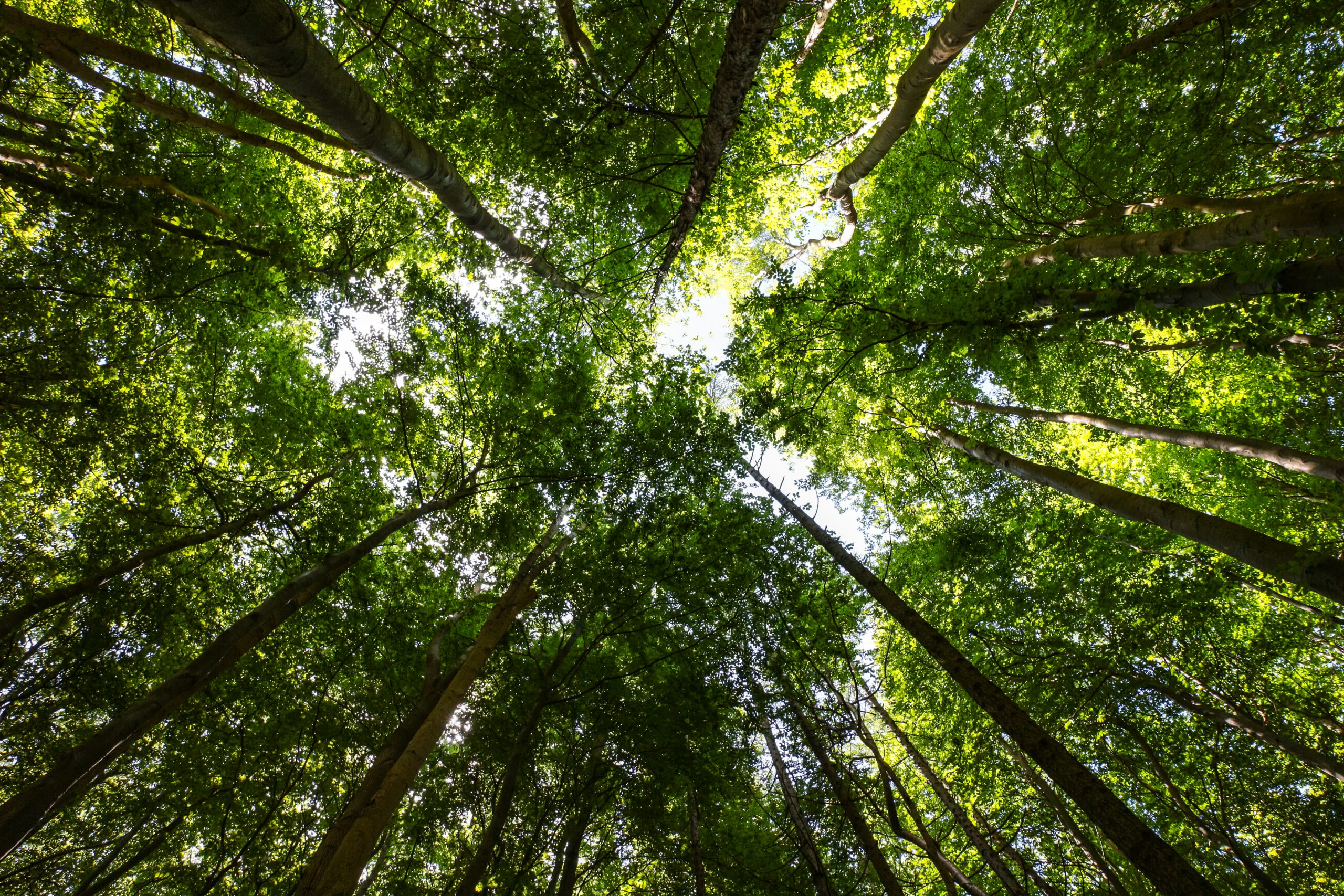 How Does Producing Plastics Benefit The Economy