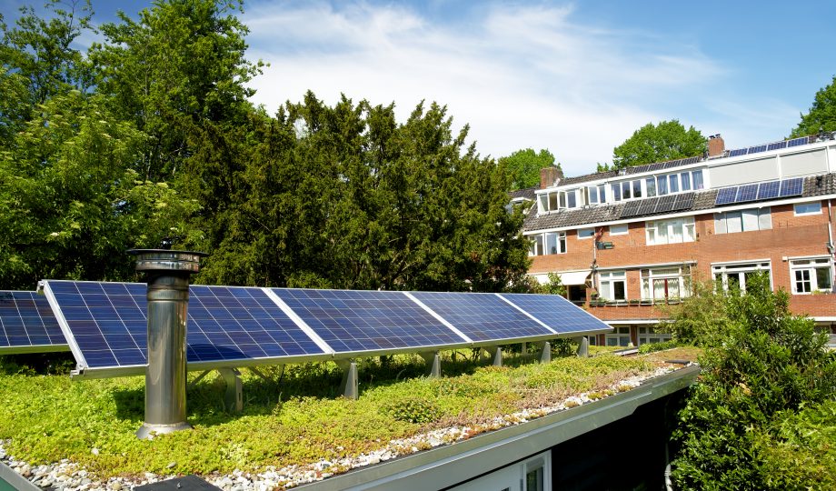 Solar panels on a sedum green rooftop garden on behalf of climate adaptation Solar panels on a sedum green rooftop garden on behalf of climate adaptation